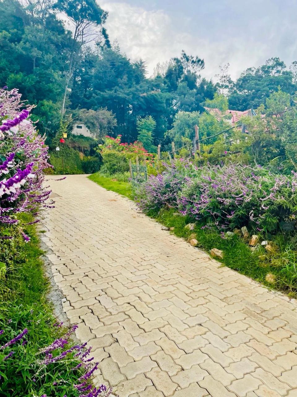 Bed and Breakfast Stumpfields à Ooty Extérieur photo